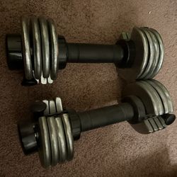 12.5lbs x 2 Adjustable Dumbbell 