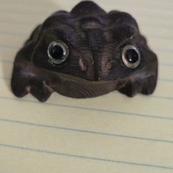Vintage Japanese Hand-Carved Cryptomeria Frog Toad
Measures Approx 2 1/4" x 2" x 1"