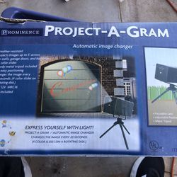 Outdoor Holiday Projector