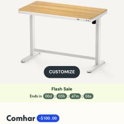 Faulty FlexiSpot Standing Desk w/Drawers