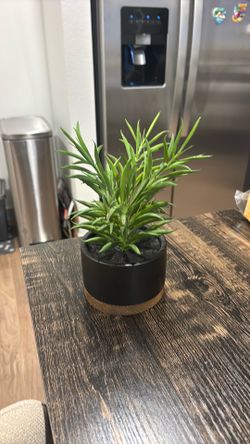Artificial Plant