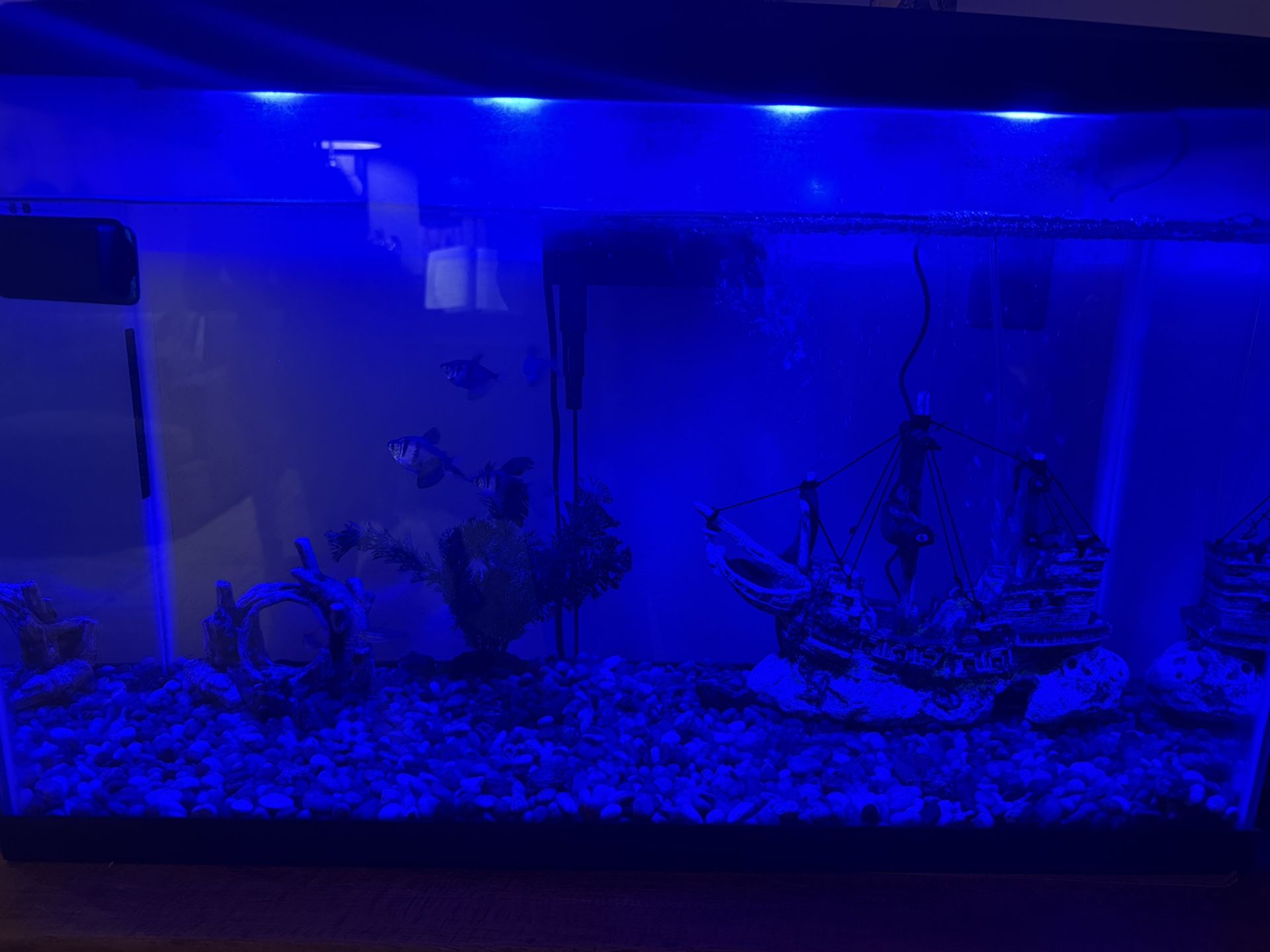 29gallons Aquarium All Included $100!!