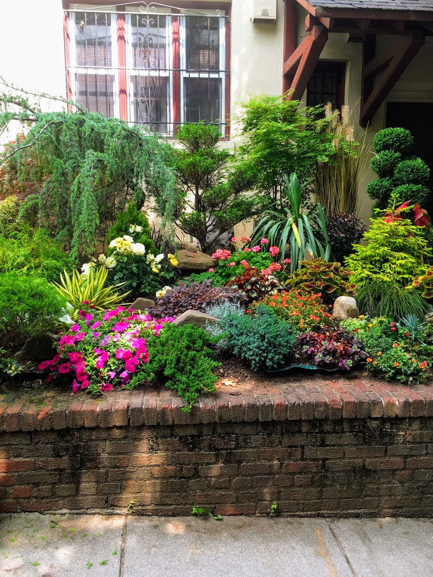 Landscaping Plants And designs DMV