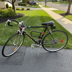 10 Speed Road Bicycle