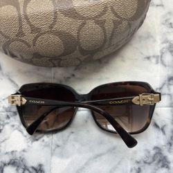  Coach Sunglasses 