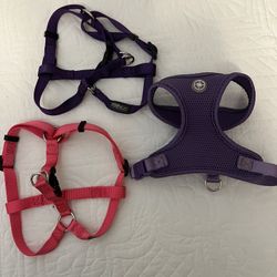 Small Dog Harness (3) for $10