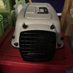 small cat carrier