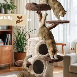 Cat Condo