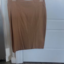 Pencil Skirt In Tan By Virtue Size 4