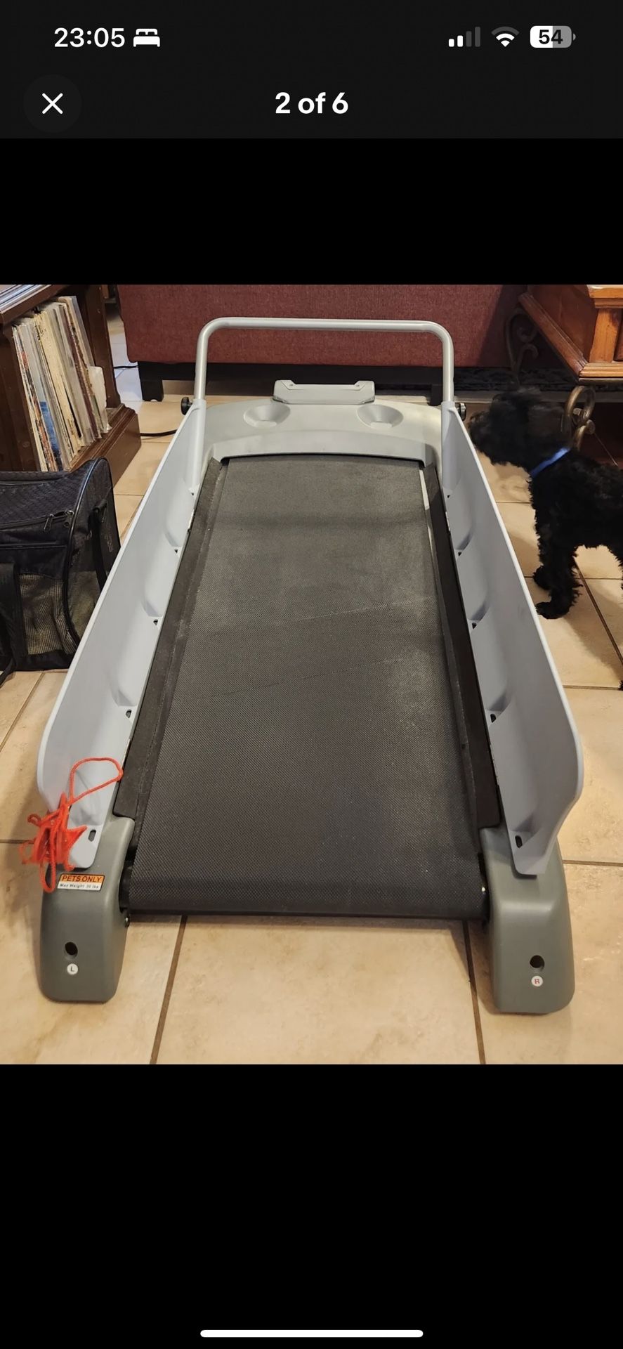Dog Treadmill