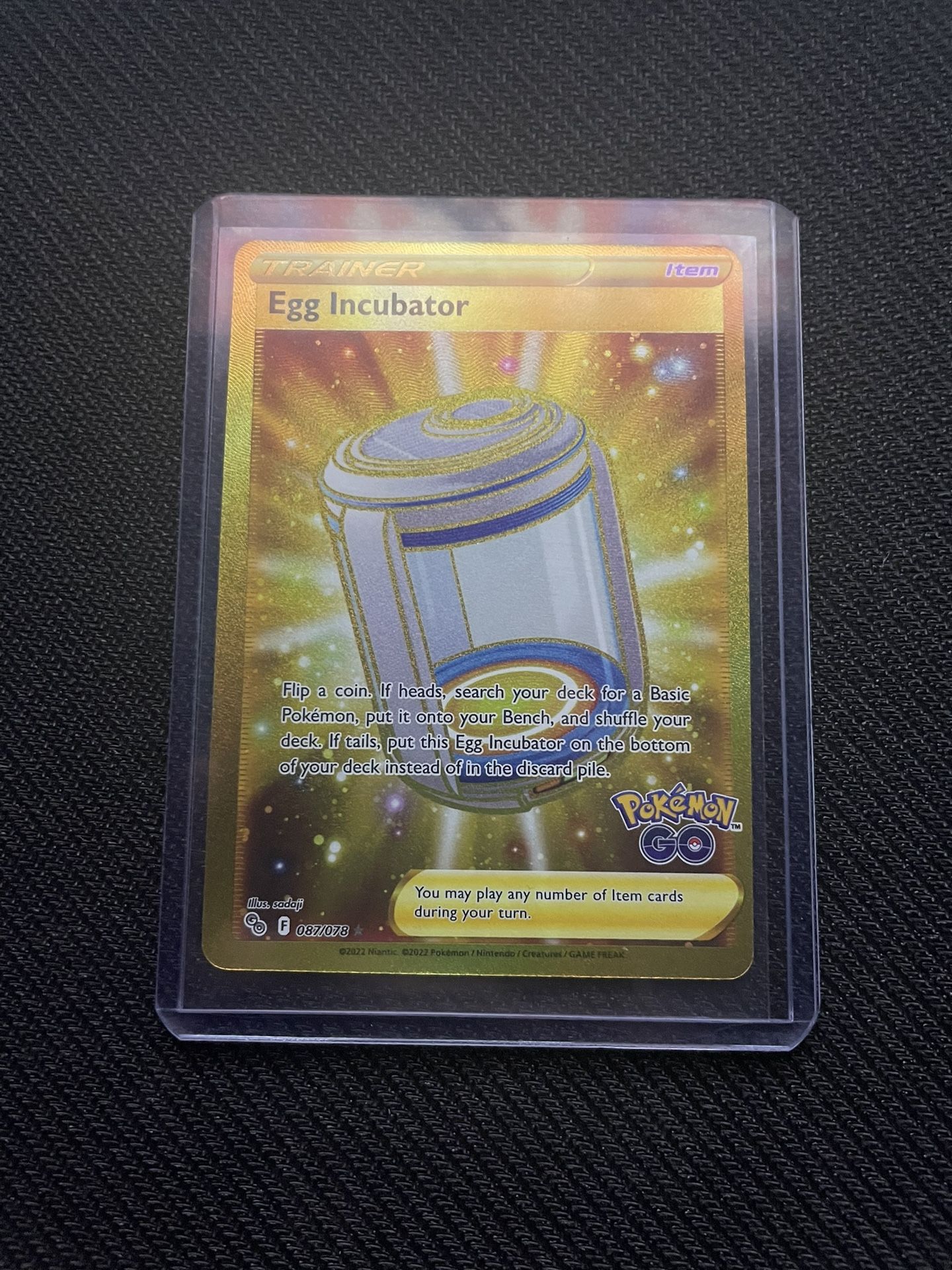 Egg Incubator