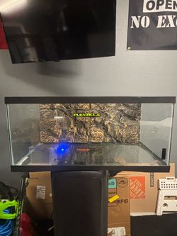 Reptile Tank