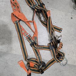 Safety Harnesses