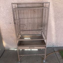 Bird Cage 