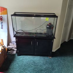 60 Gallon Fish Tank Filter And Light With Stand Set Up $300