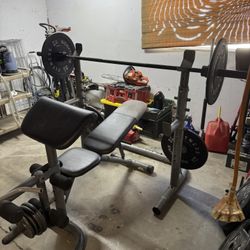 Golds Gym Bench And Squat Rack With Plates 