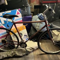 Bicycle  Crossroad