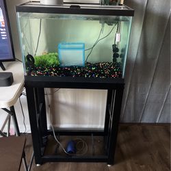 20 gallon aquarium with stand 