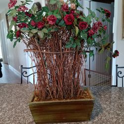 Decorative, Artificial, Plant 
