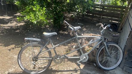 2 seater bike