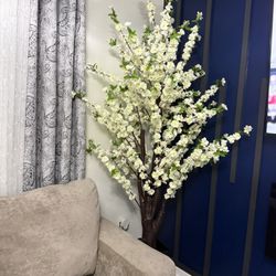 Árbol 