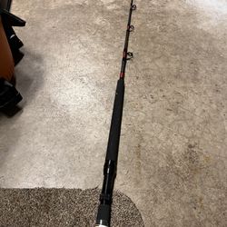 Fenwick Seahawk Offshore Rod
