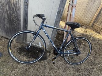 Schwinn Violare 1200