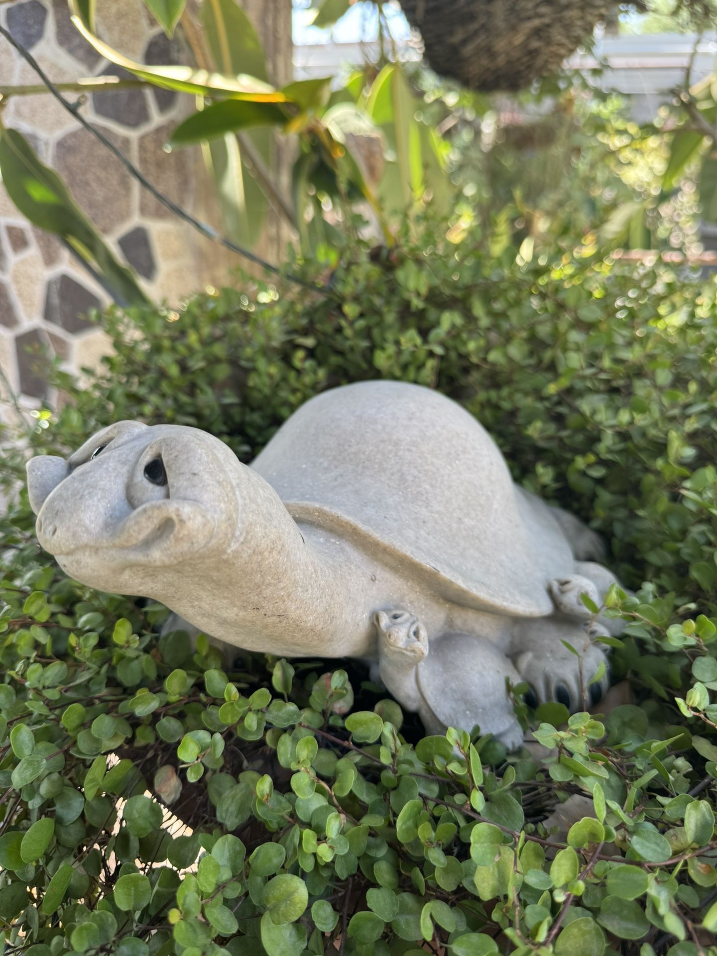 Turtle fingering for your garden