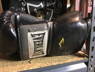 Used everlast gloves