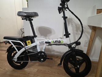New Electric Bike 