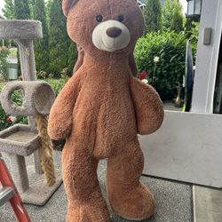 Big Teddy Bear
