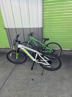 2 bikes mountain