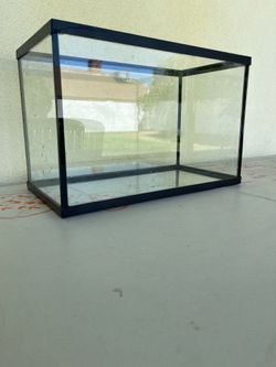 Lizard/gecko terrarium