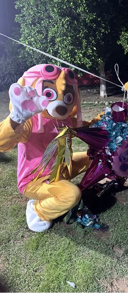 Skye Paw Patrol Mascot 