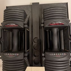 Powerblocks 32lbs