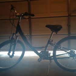 Globe Caramel Specialized