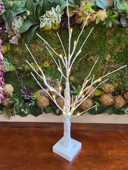 2-foot battery-operated birch trees