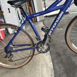 Cannondale Performance Bike