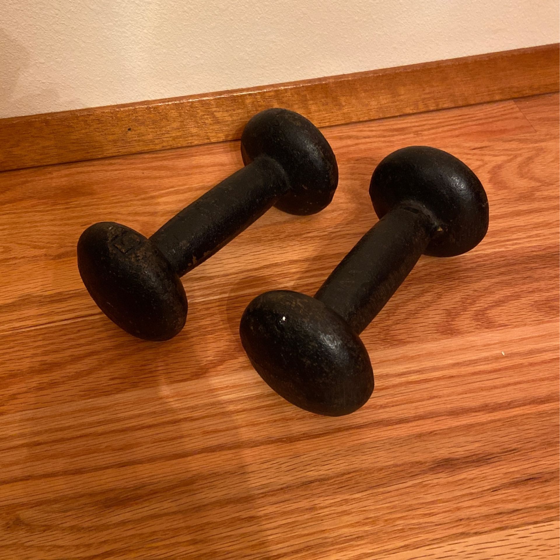 Cast Iron 5lb Weights