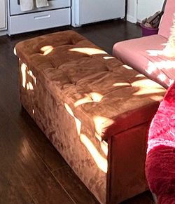 Velvet Brown Ottoman Storage Bench
