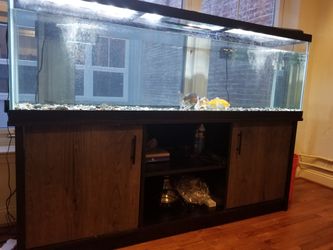 125 feet aquarium