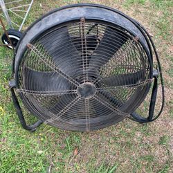 Fan 