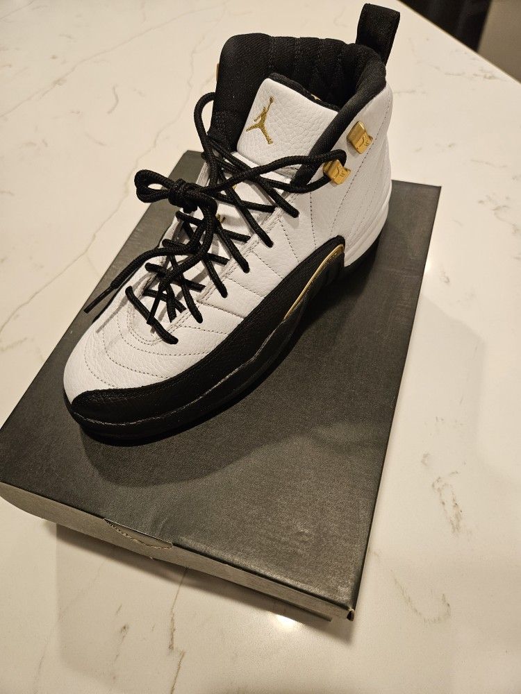 Air Jordan 12 Retro GS