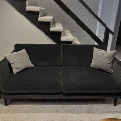 Black Velvet Couch