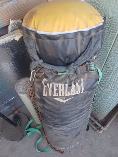 Everlast Punching Bag