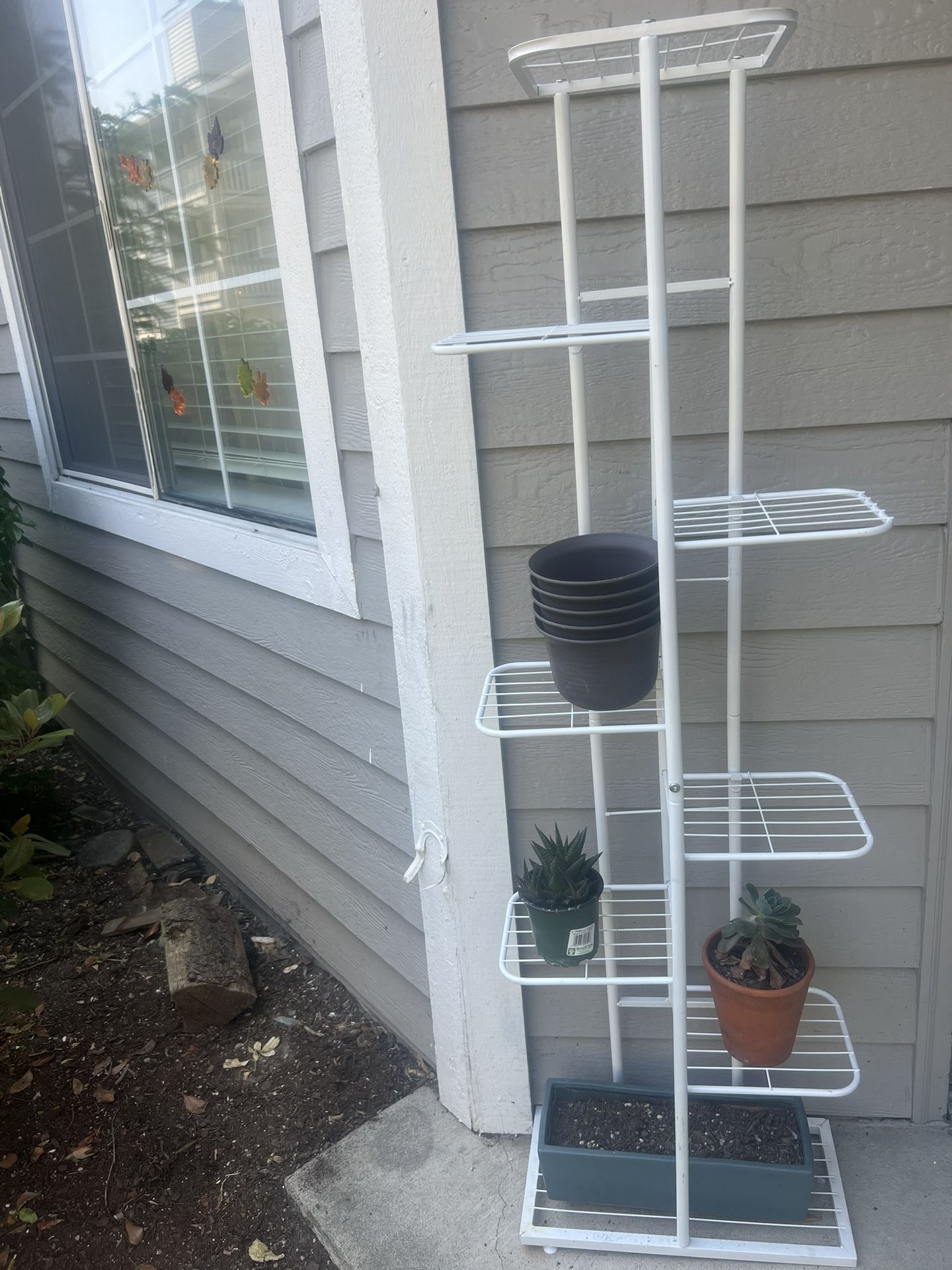 Display Plants