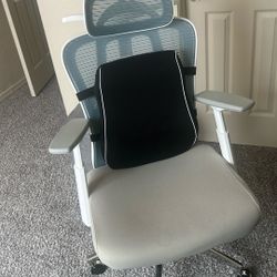Ergonomic Computer Chair
