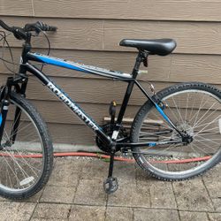 Roadmaster Bike 