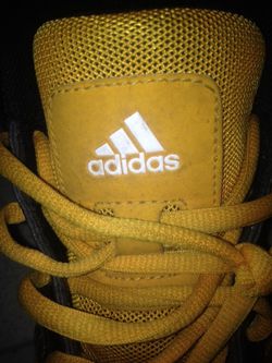 Adidas Shoes