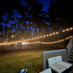 Backyard lights & Light Sticks 100 Feet 